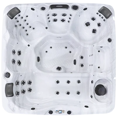 Avalon EC-867L hot tubs for sale in Coral Springs