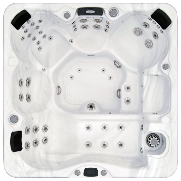 Avalon-X EC-867LX hot tubs for sale in Coral Springs